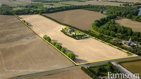 Bare Land