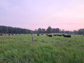 Thankful that I am to be able to do what I love! Another beautiful morning!