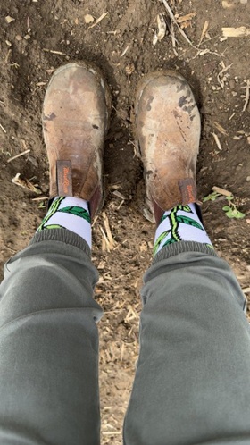 I think we all need a pair of sicks like these... 