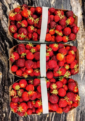 It's strawberry season!