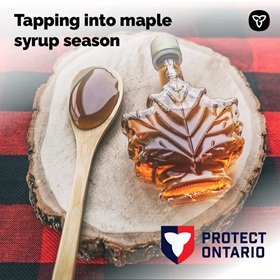 Enjoy it year-round!