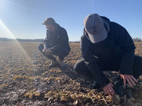Good to walk the winter canola even if some of the sights weren’t so beautiful.