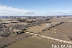 Cash Crop