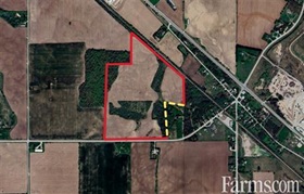 Bare Land