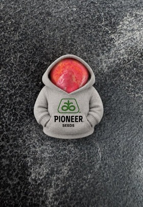 How chilly is it? Every seed gets its own hoodie?