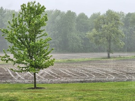 Mike in Norfolk County said: Well, I think we probably have enough moisture now to carry us through a good part of June.”