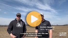 Early planting soybeans in Ontario