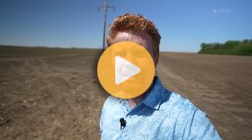 How to do stand counts in corn