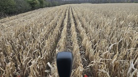 A drizzly morning in Morrisburg, but 53 bonus acres off.
