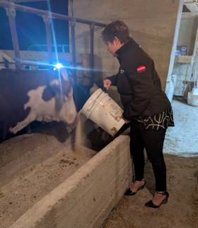 Now that’s classy! High heels to feed the cattle, even though it becomes tricky as the full feed pails throw heel height ratio off.
