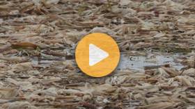 Reducing soil erosion