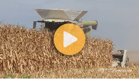 Claas Lexion 8600 harvesting corn with 16-row corn head