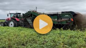 Potato harvest in Canada
