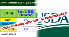 Grain markets
