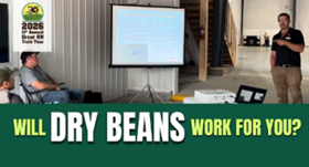 Will dry beans work for you