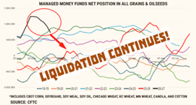 Liquidation continues