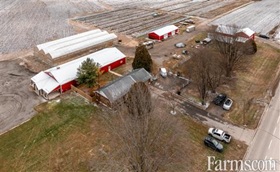 Cash Crop, Greenhouse