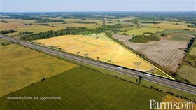 Agribusiness