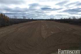 Bare Land