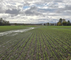 Warren in Morrisburg offered a follow up to yesterday… Most of the water has drained off! Nice!