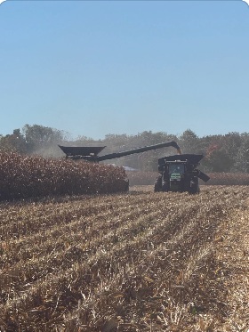 “It’s my favourite time of the year - 19% moisture,” said Ray of Tecumseh. He ain’t wrong!