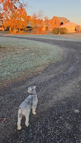“Keep Manhattan, just give me that countryside.” Even frosty green acres beats the city view every time!