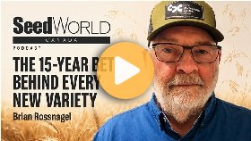 The 15-year bet behind every new variety