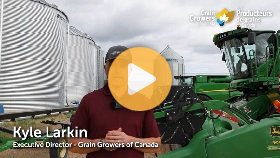 Three Issues Grain Growers Are Watching This Fall