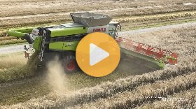 Claas Lexion 8900 harvesting rye | Big Harvest