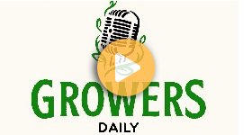 The many different types of corn to grow