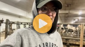 A productive day on the dairy farm | Projects, packing orders & chores