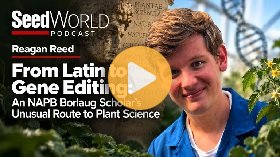 Can gene editing give seeds a stronger start?