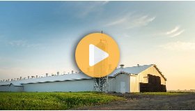 Poultry Science Cluster 4