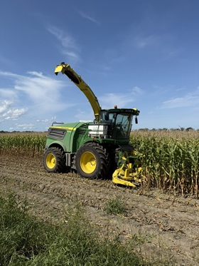The first day of corn silage chopping!