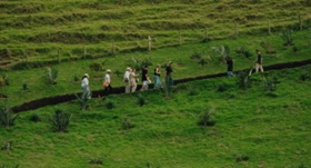 Youth walking in a farmer's field
