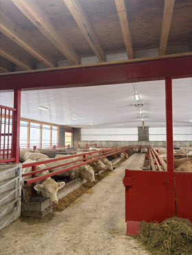 They say there's a blizzard out there right now. No, I don't know who "they" are.