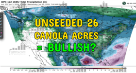 canola crisis