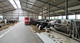 Dairy farms are big users of robotics