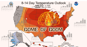 Strong demand and heat boost grain outlook
