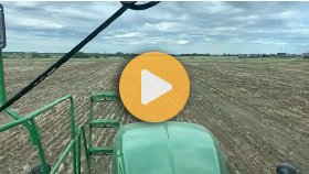 Spraying 2026 is underway