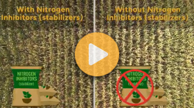 Beneficial Management Practices (BMP): Mitigating GHG emissions on dairy farms | Living Labs Ontario