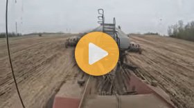 The start to canola