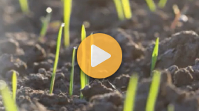 Michigan cover crop decision tool update 2026