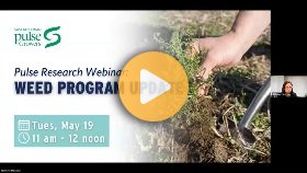 Pulse Research Webinar: Weed Program Update