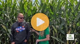 In the field with Pioneer corn farmer Dana Johnson