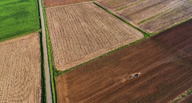 New federal investments aim to spur growth in Canada’s agri-food processing, infrastructure, and innovation sectors