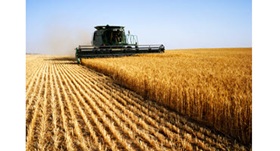 New federal investments aim to spur growth in Canada’s agri-food processing, infrastructure, and innovation sectors