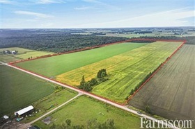 Bare Land
