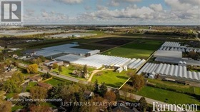 Agribusiness