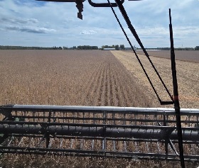 Soybean harvest 2026 has started over in Stayner!